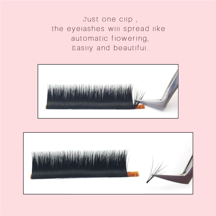 blooming eyelash 1.jpg